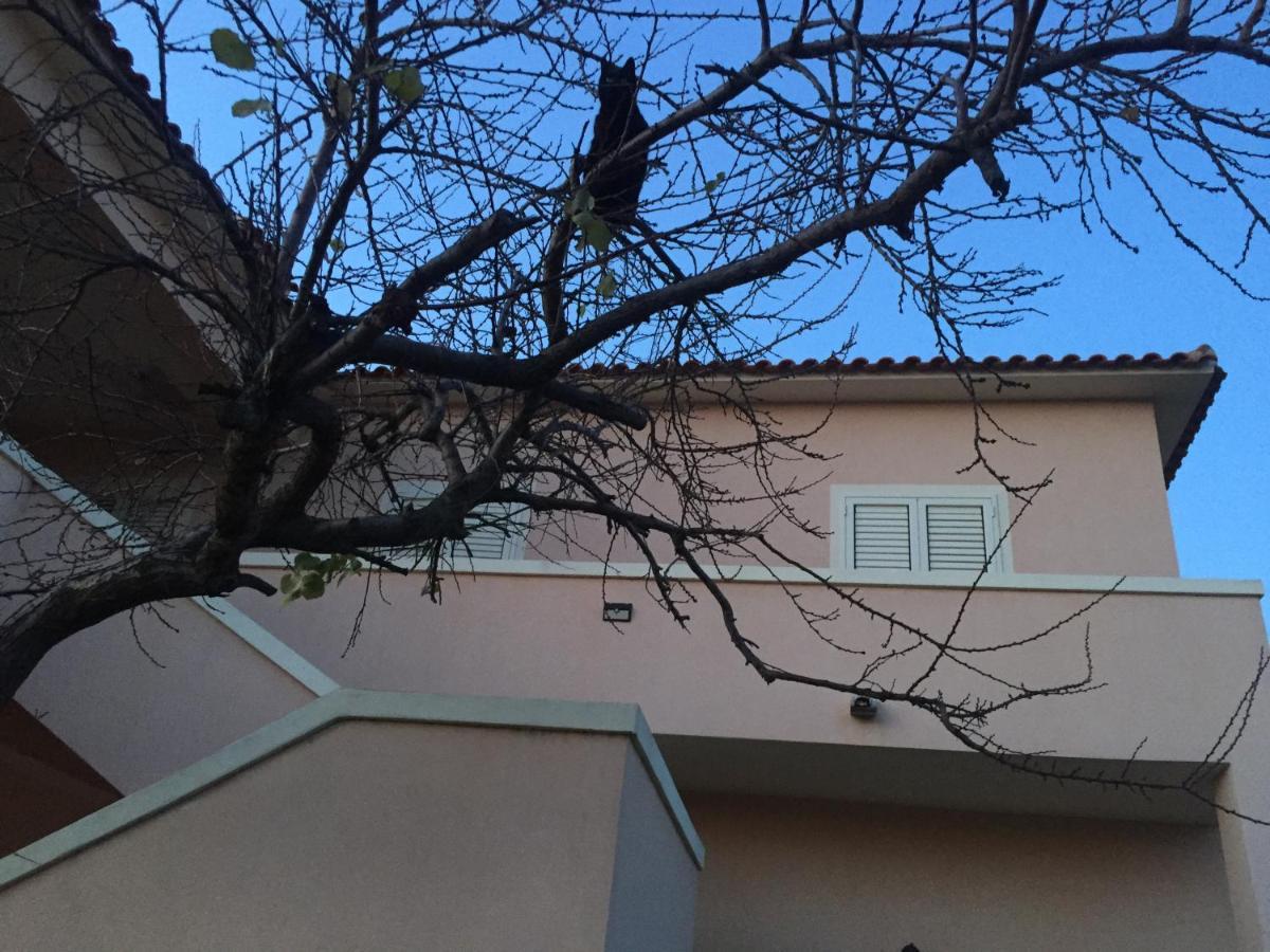 La Maison Di Zia Annina Olbia Exterior photo