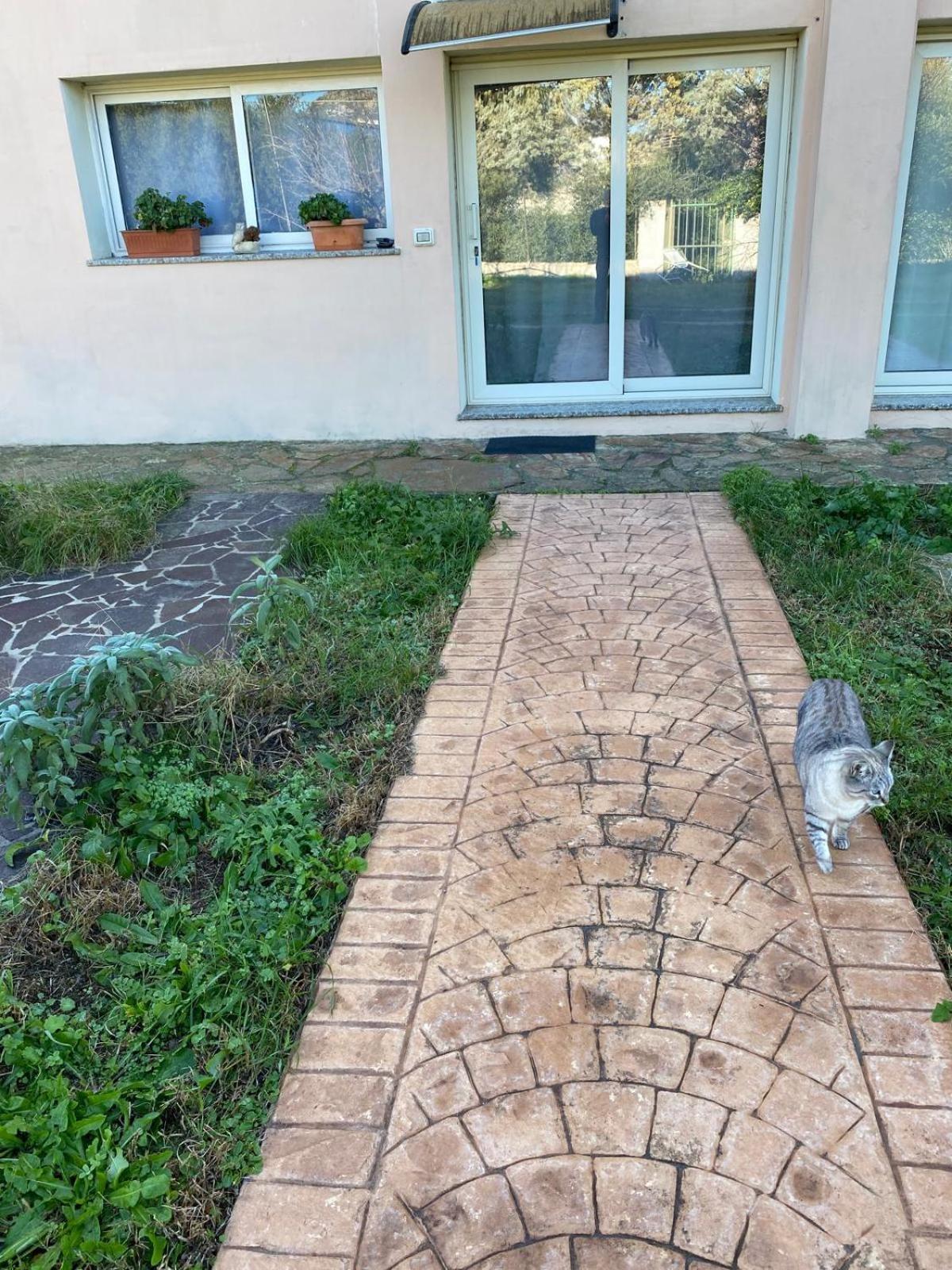 La Maison Di Zia Annina Olbia Exterior photo